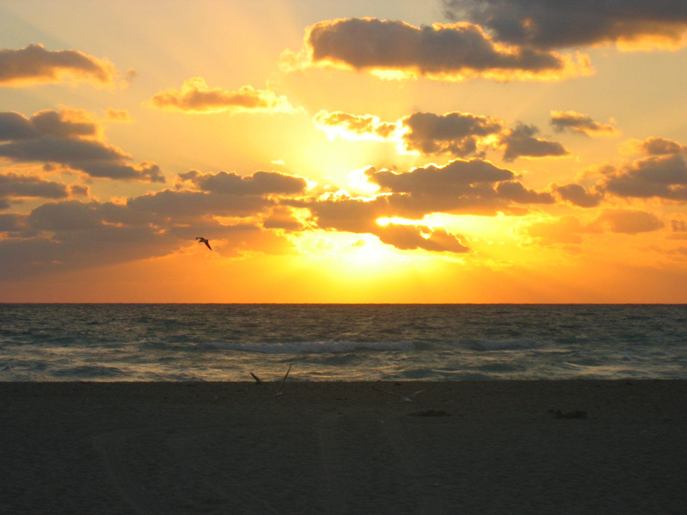 Tips for Everyday Mindfulness #7: Appreciating what is