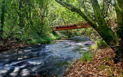 Tips for Everyday Mindfulness # 8: Drop the Story