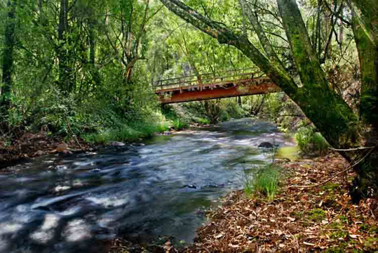 Tips for Everyday Mindfulness # 8: Drop the Story