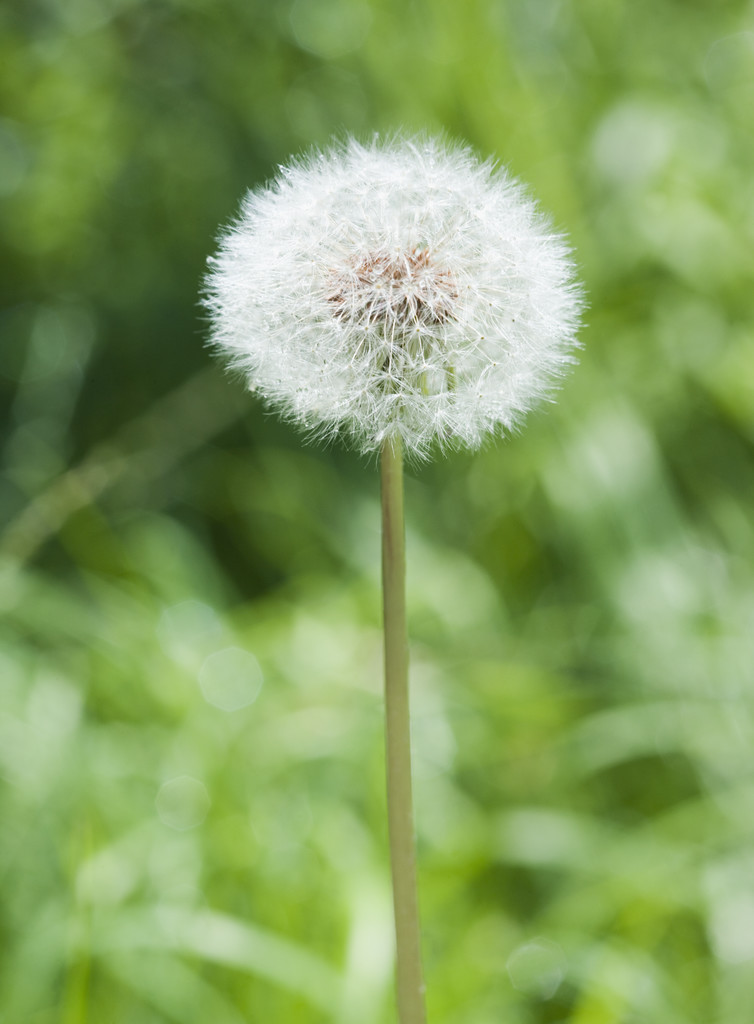 my three words for 2012