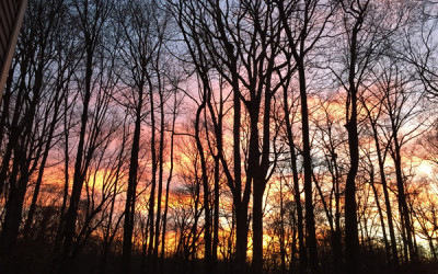 Returning to the Great Grandmother