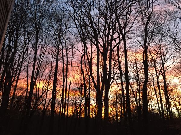 great_grandmother_writing-600x450