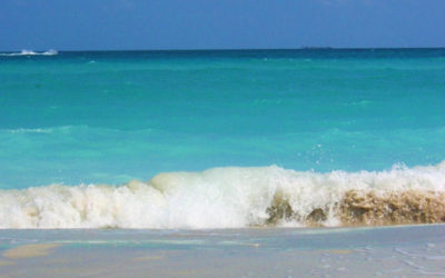 Gem of Wisdom: Remember you are the ocean