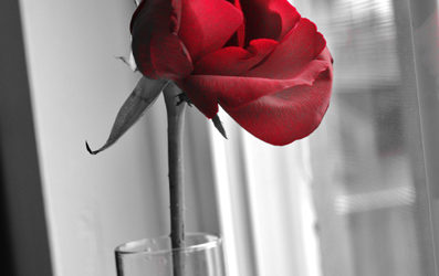 What are you losing by not taking the risk?