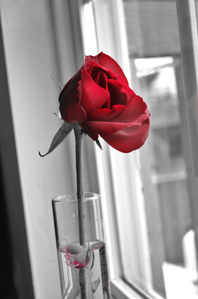 What are you losing by not taking the risk?