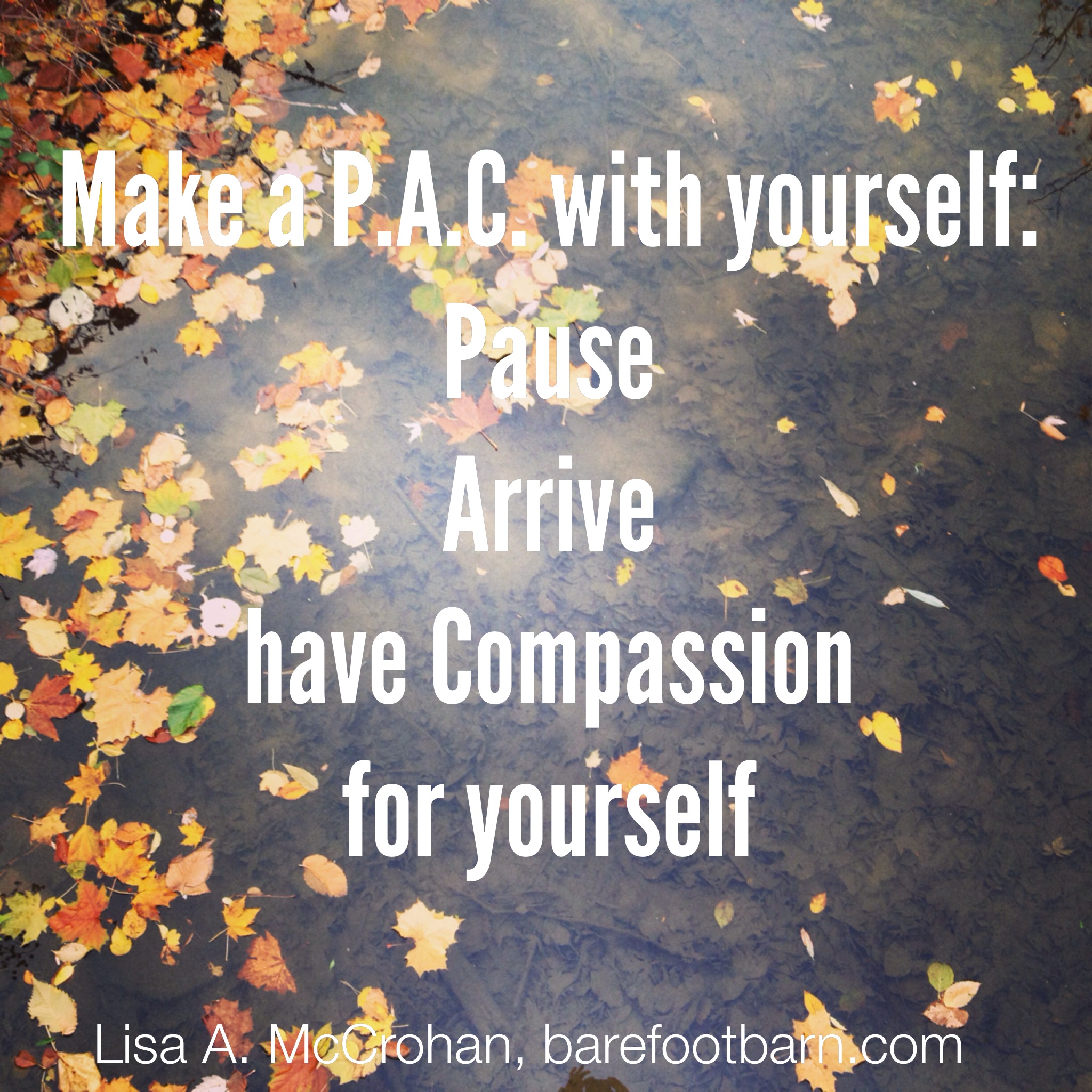 Want to keep calm over the holidays?  Make a P.A.C. with yourself.