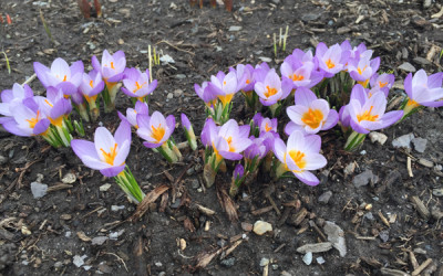 The Power of Forgiveness