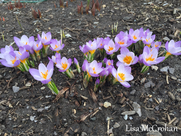 The Power of Forgiveness