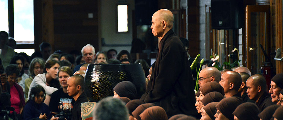 Credit: plumvillage.org