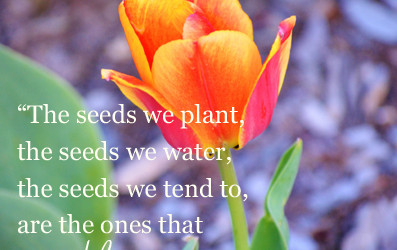 Which Seed will you plant? Let it be a seed of compassion.