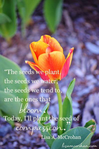 seed_of_compassion-600x397