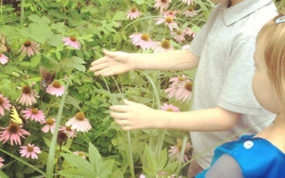 Completely Free – the sacred invitation of the season