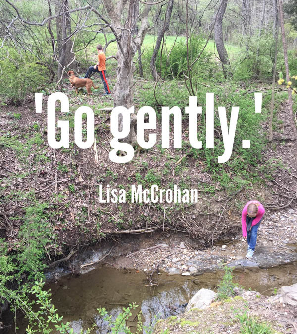 Go Gently