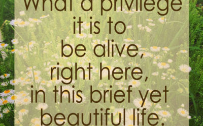 Claiming the sacred privileges of everyday life