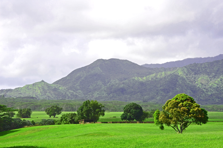 kauai_earth_mountains-small
