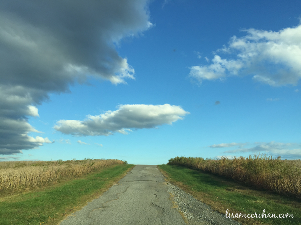 field_path_wheat-600x450