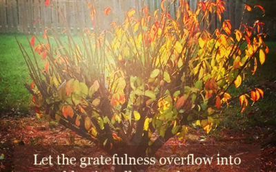 Take heart in turbulent times: how gratitude and delight nourish the soul