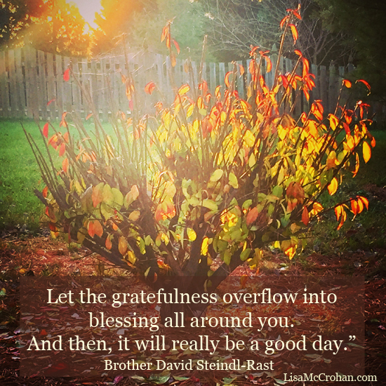 Take heart in turbulent times: how gratitude and delight nourish the soul