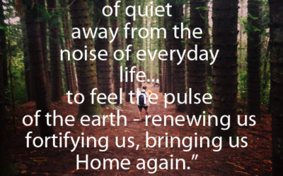 Moments of Quiet in the Chaos