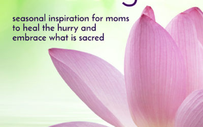 Gems of Delight – announcing my first book!