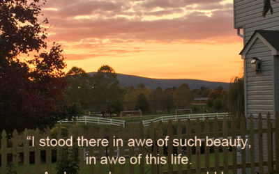 Noticing Beauty in the Ordinary