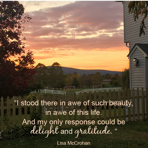 Noticing Beauty in the Ordinary