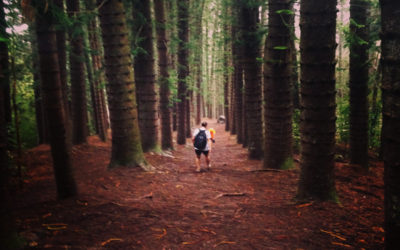 Moments of Quiet in the Chaos