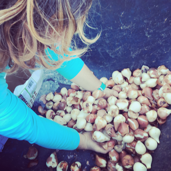 Soul-Nourishing Sunday Gem: the anecdote to “decision fatigue” for a focused, soulful life