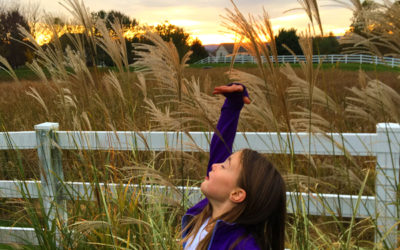 Inclining the mind toward gratitude, cultivating a heart posture overflowing with gratefulness