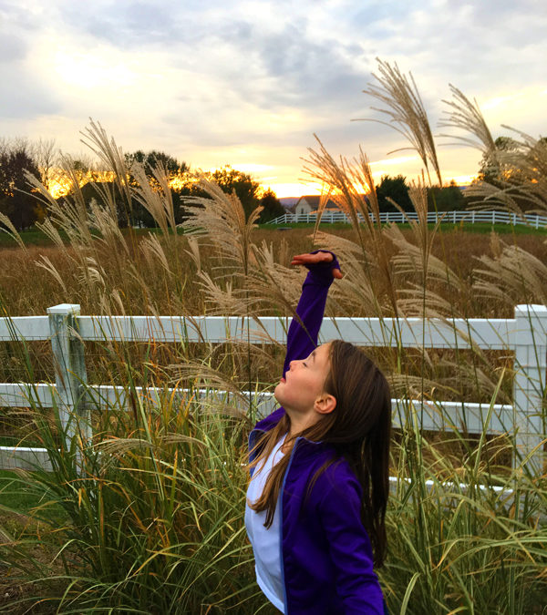 Inclining the mind toward gratitude, cultivating a heart posture overflowing with gratefulness