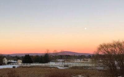 Permission to Rest and Renew