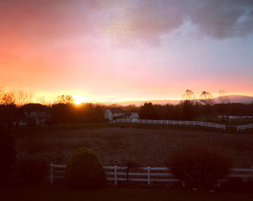 How Did You Greet the Dawn