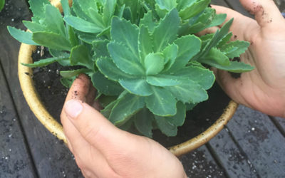 SOUL-care: three ways to make time for self-care no matter how busy you are