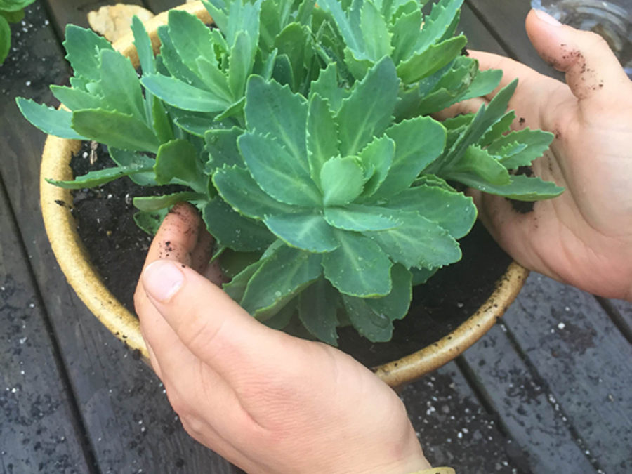 SOUL-care: three ways to make time for self-care no matter how busy you are