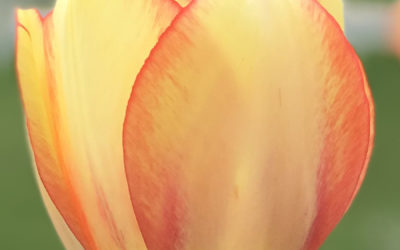 What’s Sacred to you?