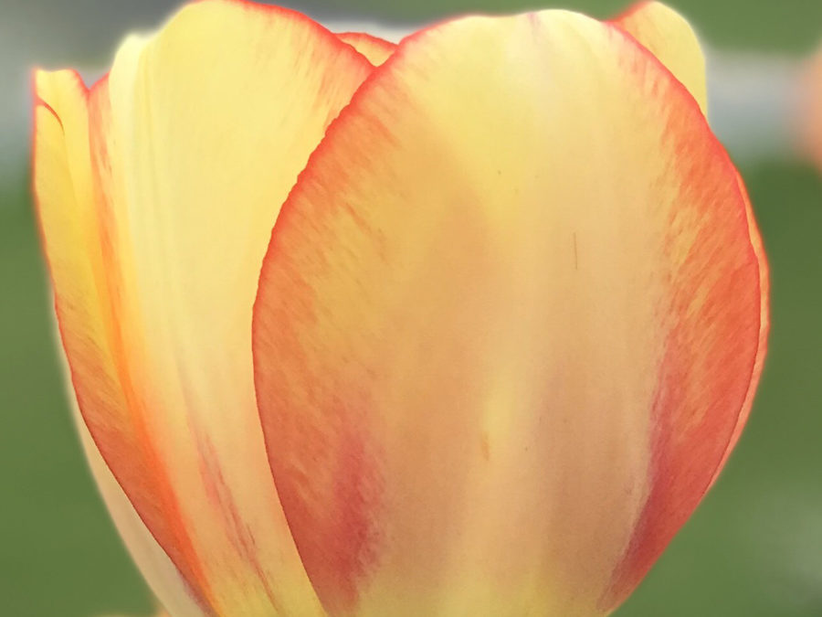 What’s Sacred to you?