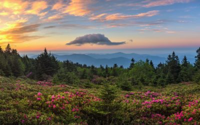 Your eyes tell me that your soul has been nourished