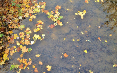 The Grief That Won’t Go Away