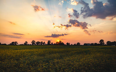 Overwhelmed? Get your Life-BACK and Opt Out of the Hustle, Bigger, and More Culture