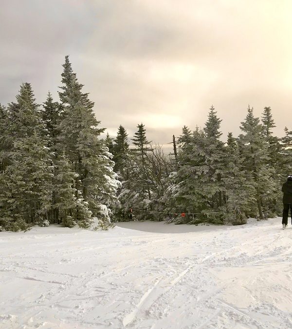 A Soul Promise to Yourself