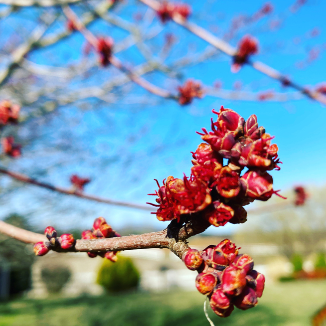 a refreshing (and much needed!) way to welcome spring