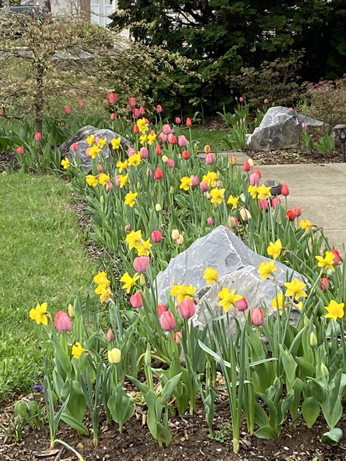 How a YES can lead to your soul blossoming