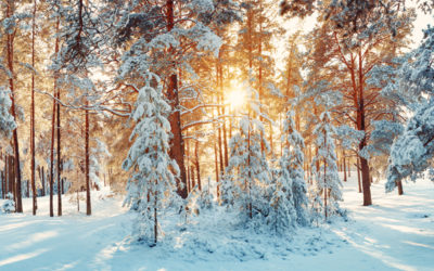 How to Honor Winter and Hygge