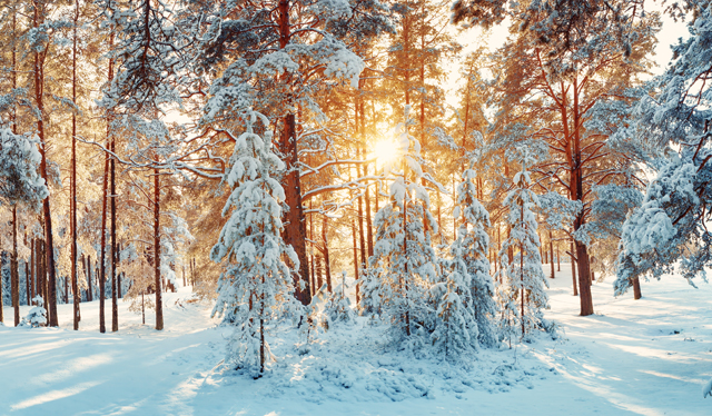 How to Honor Winter and Hygge