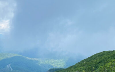 To Be Delighted Again