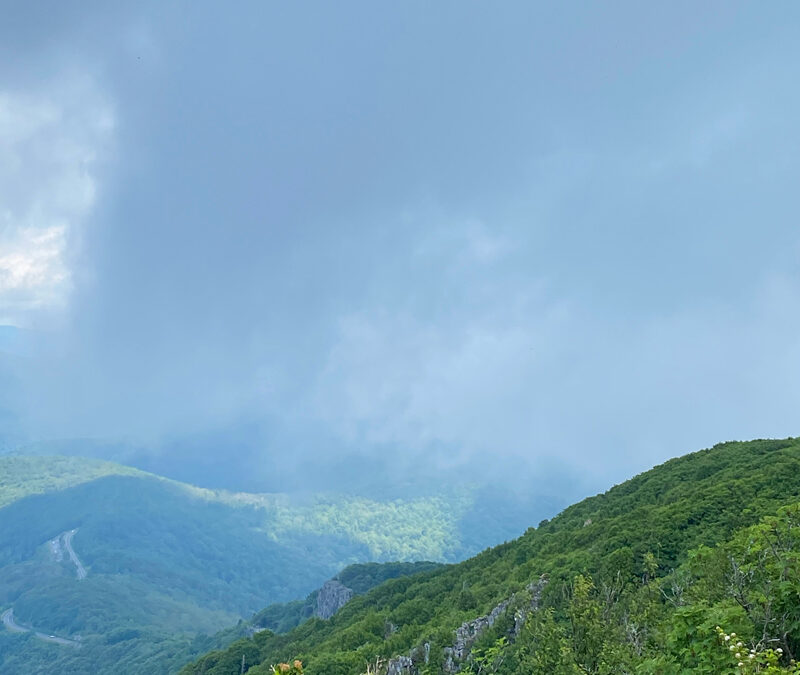 To Be Delighted Again